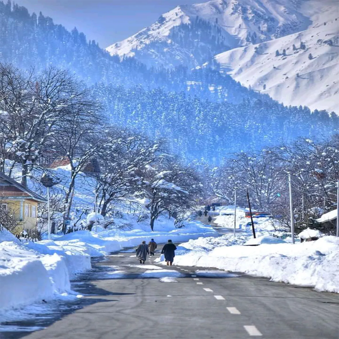 Kashmir