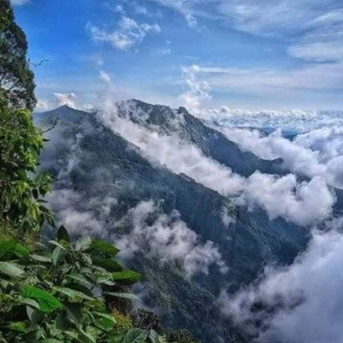 Cochin/ Munnar /Kodaikanal/ Thekkady/ Varkala