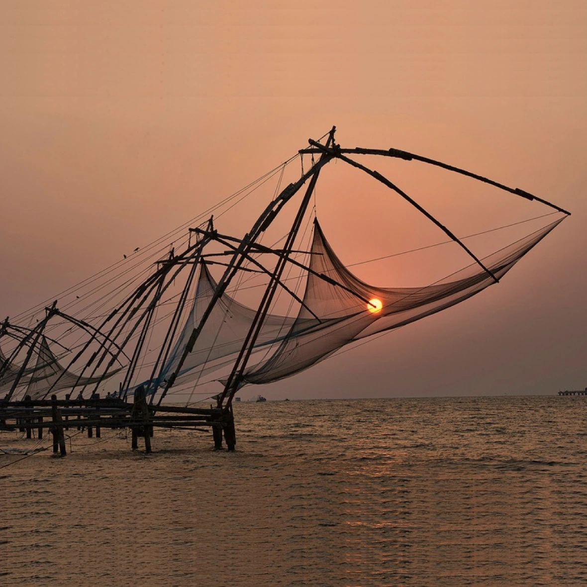 Cochin/Munnar/ Alleppey/Cochin